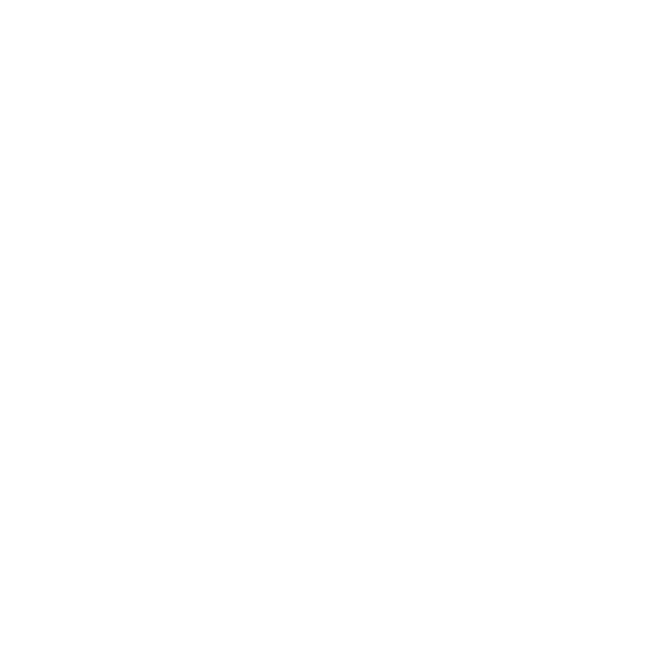 AA MERCH