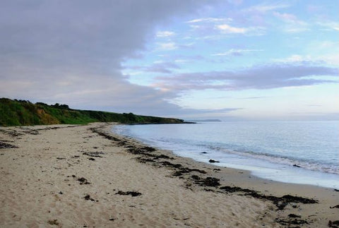 Pendower Beach by Home and Bay