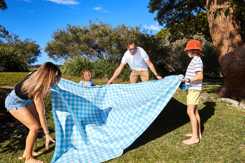 Dock and Bay Blueberry Pie Picnic Blanket