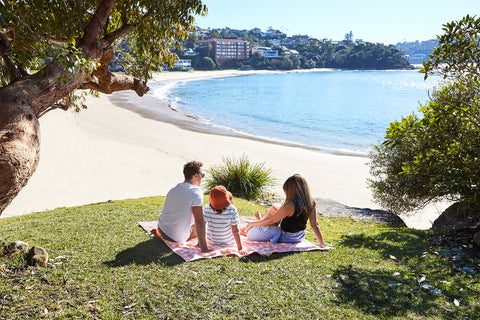 Dock and Bay Strawberry and Cream Picnic Blanket