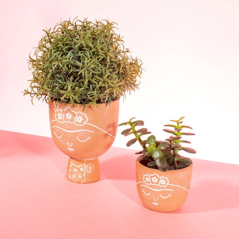 Indoor Plants and Stylish Homeware