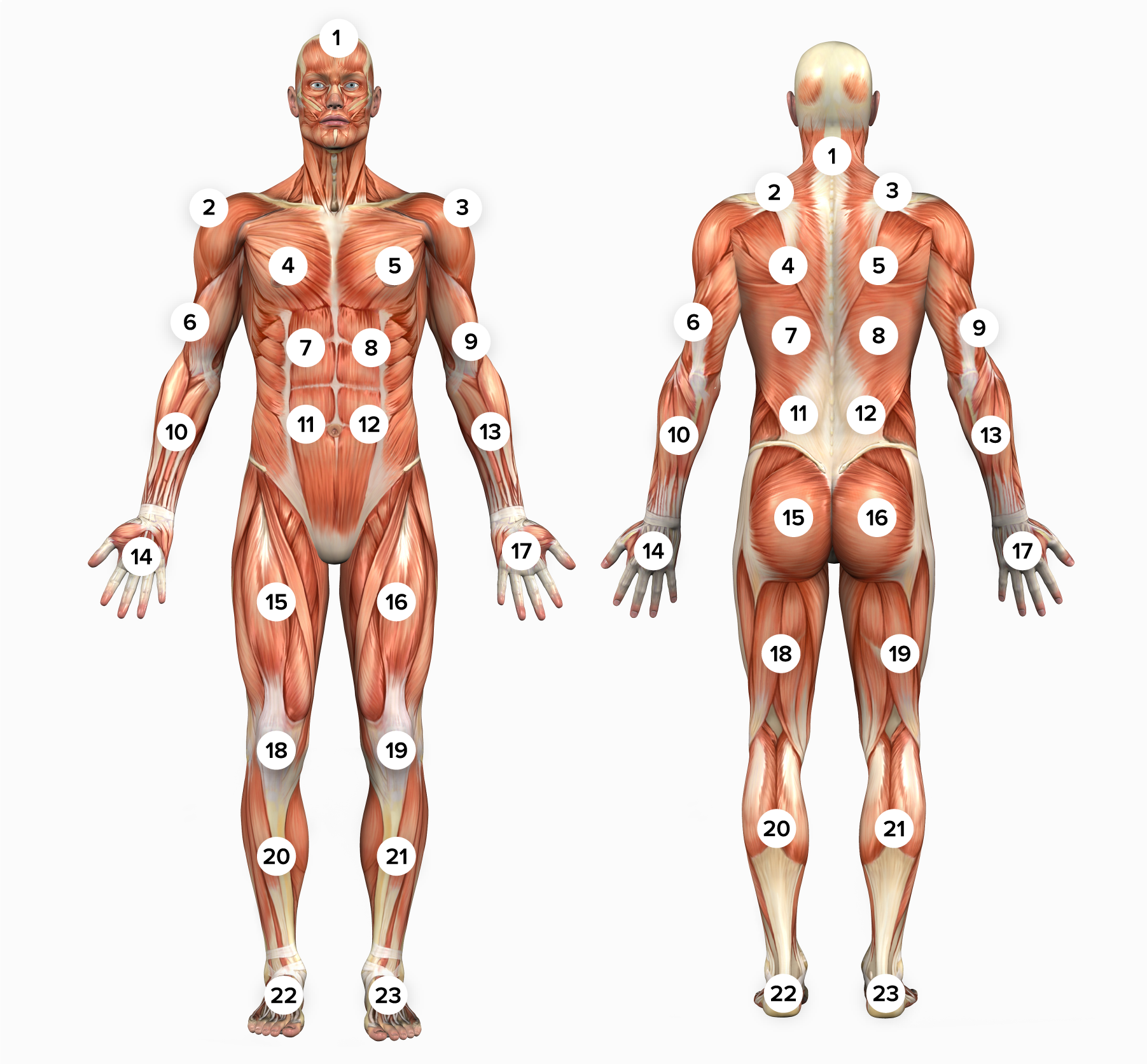 Pain Pattern | CausalityCare.com