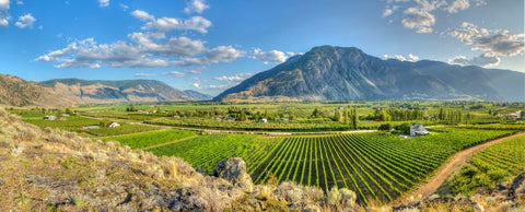 View of Similkameen Valley | Farm to Glass Wine Tours
