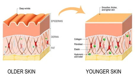 YOUR FACE SKINCARE™ Crema facial antiengurras profunda de luxo