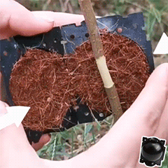 Reusable Plant Rooting Grow Ball