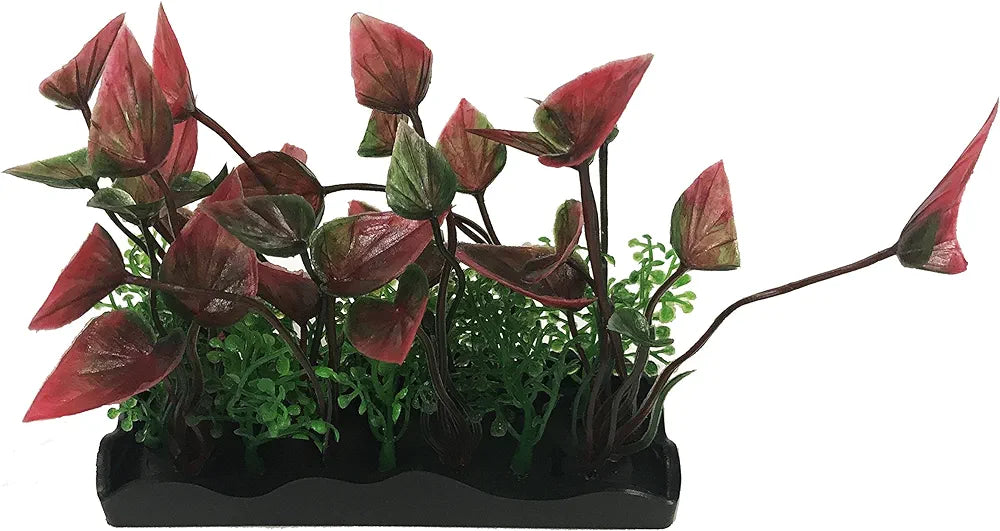 Penn Plax Green/Purple Bunch Plant