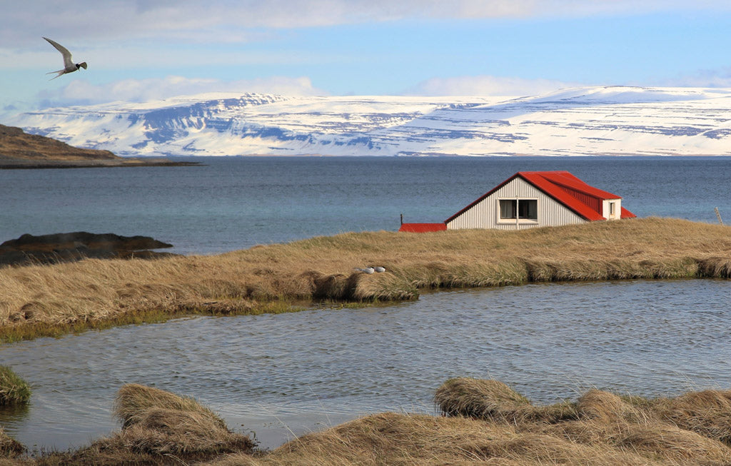 The site of Reluctant Trading Icelandic Flaky Sea Salt Harvesting