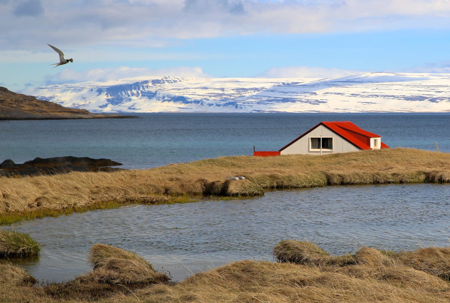 This is where I went to get the sea salt in Iceland. Easy on the eyes and the taste buds.