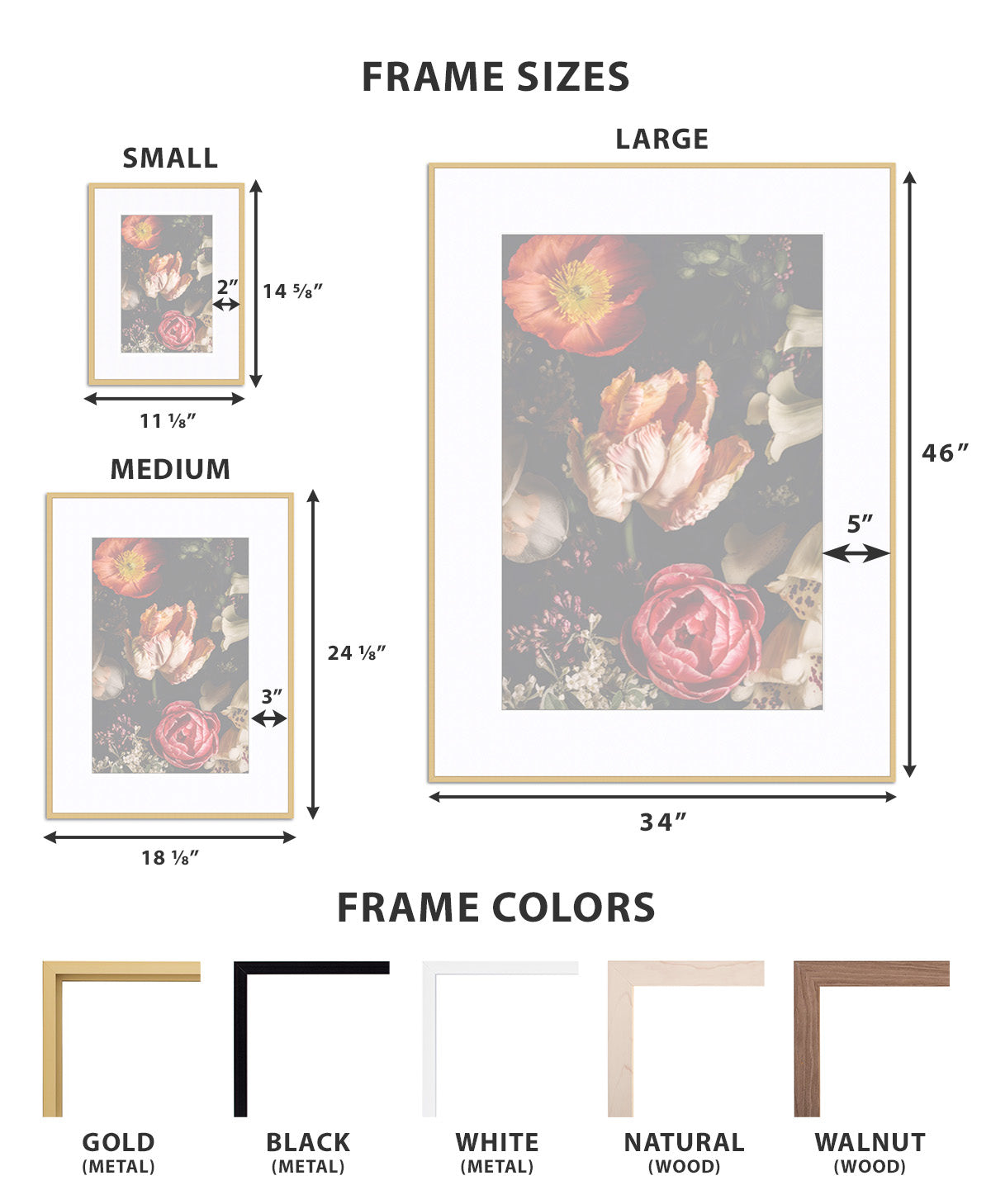 Frame Size & Color Options