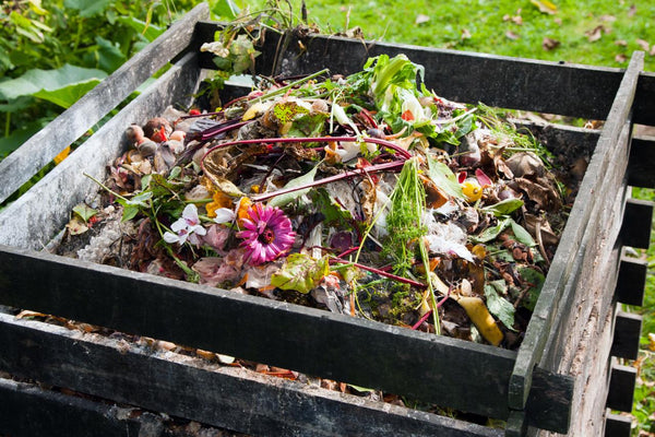 home compost