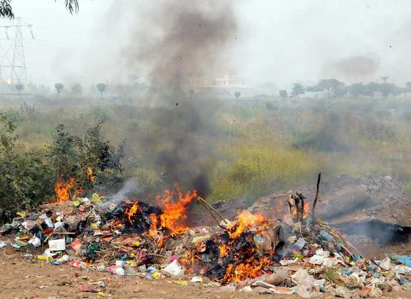 burning garbage goa