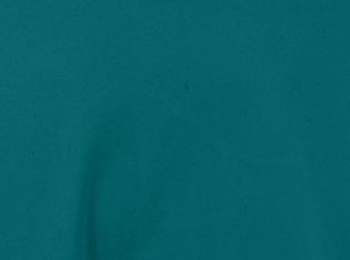 Teal Green Lily Polo