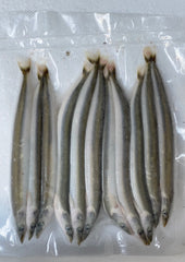 Anchovies, Baits'R'Us