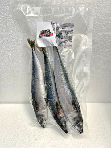 5345 – Sardines, BAITMASTERS Imported – 5 lb bag – Aylesworth's Fish and  Bait