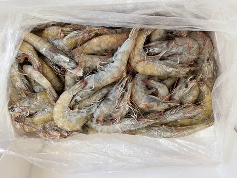 4840 – Shrimp, 8oz BAITMASTERS – Aylesworth's Fish and Bait