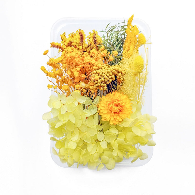 DIY Real Natural Dried Flowers Making Mobile Phone Case Ring Candle Handmade Crafts Epoxy Resin Pend