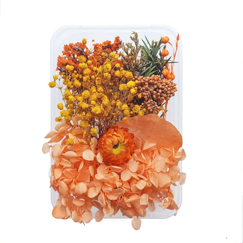 DIY Real Natural Dried Flowers Making Mobile Phone Case Ring Candle Handmade Crafts Epoxy Resin Pend