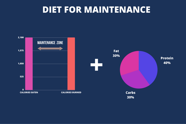 beginner weight lifting