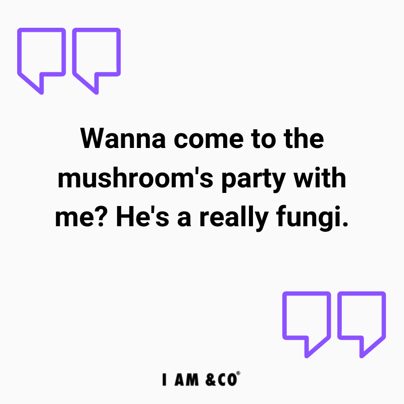 75 Funny Pick Up Lines Your Matches Won T Be Ready For I Am Co