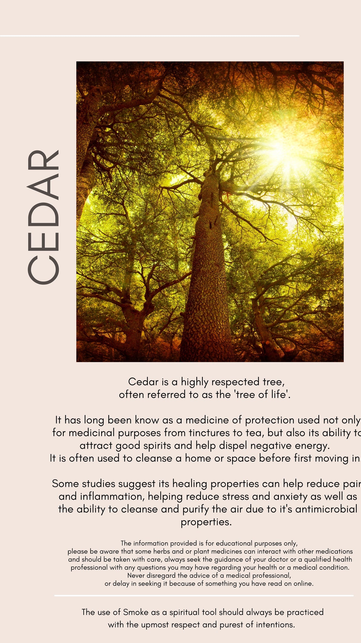 cedar and it's medicinal benefits 