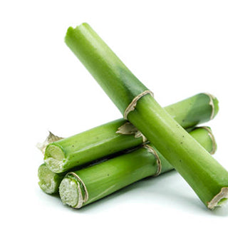 Plant Produce Bamboo