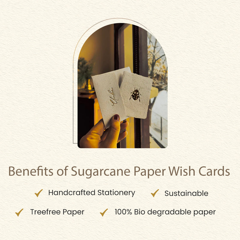 Sugarcane Paper Wish Cards | Set of 5