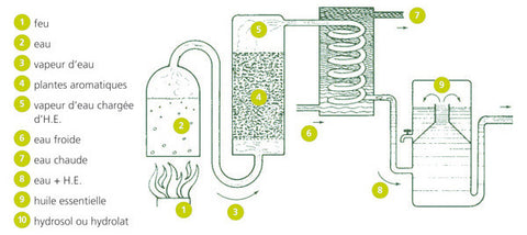 Processus de distillation Ylang-Ylang