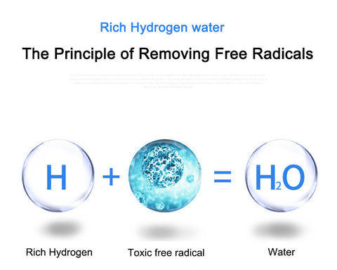 Electric Hydrogen Water Ionization Machine For Filtering And Purifying