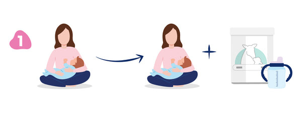 transition from breastfeeding to formula