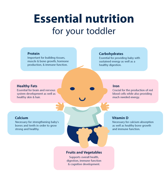 Foods and Drinks for 6 to 24 Month Olds, Nutrition