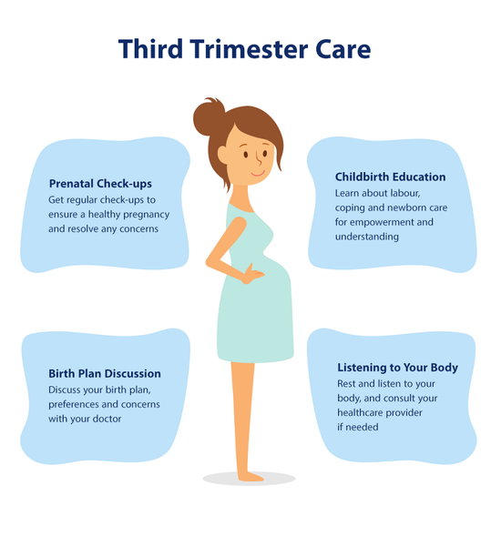 Guide for Pregnancy Stages: Third Trimester