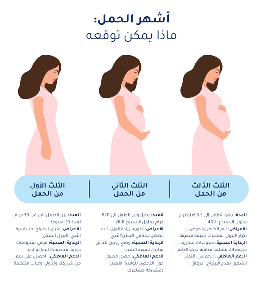 مراحل الحمل: كل ما يجب معرفته