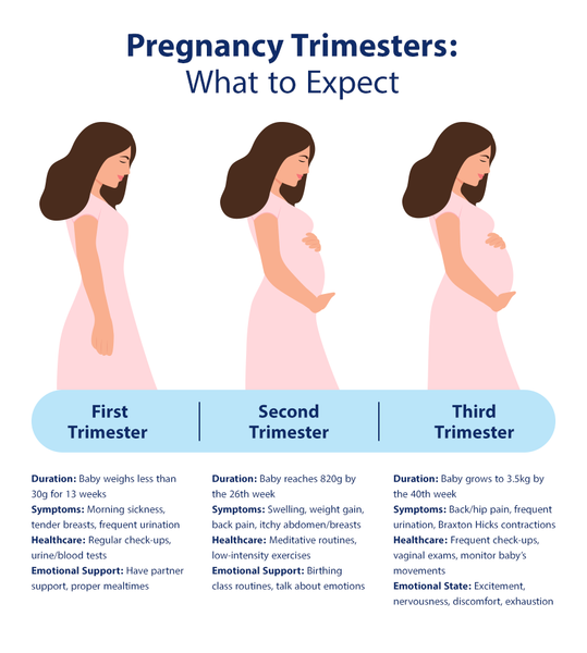 Guide for Pregnancy Stages