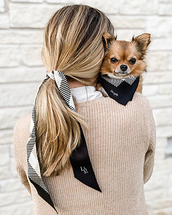 Birthday Girl Dog Scarf  Designer Dog Accessories and Cute Clothes at