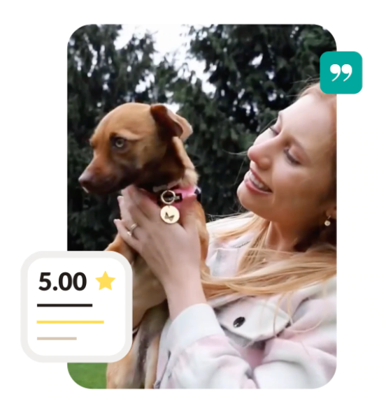 Lillia Butterfly Shape Best Friend Set | 14K Gold Necklace & Pet Tag | Pet Accessories - Dogily