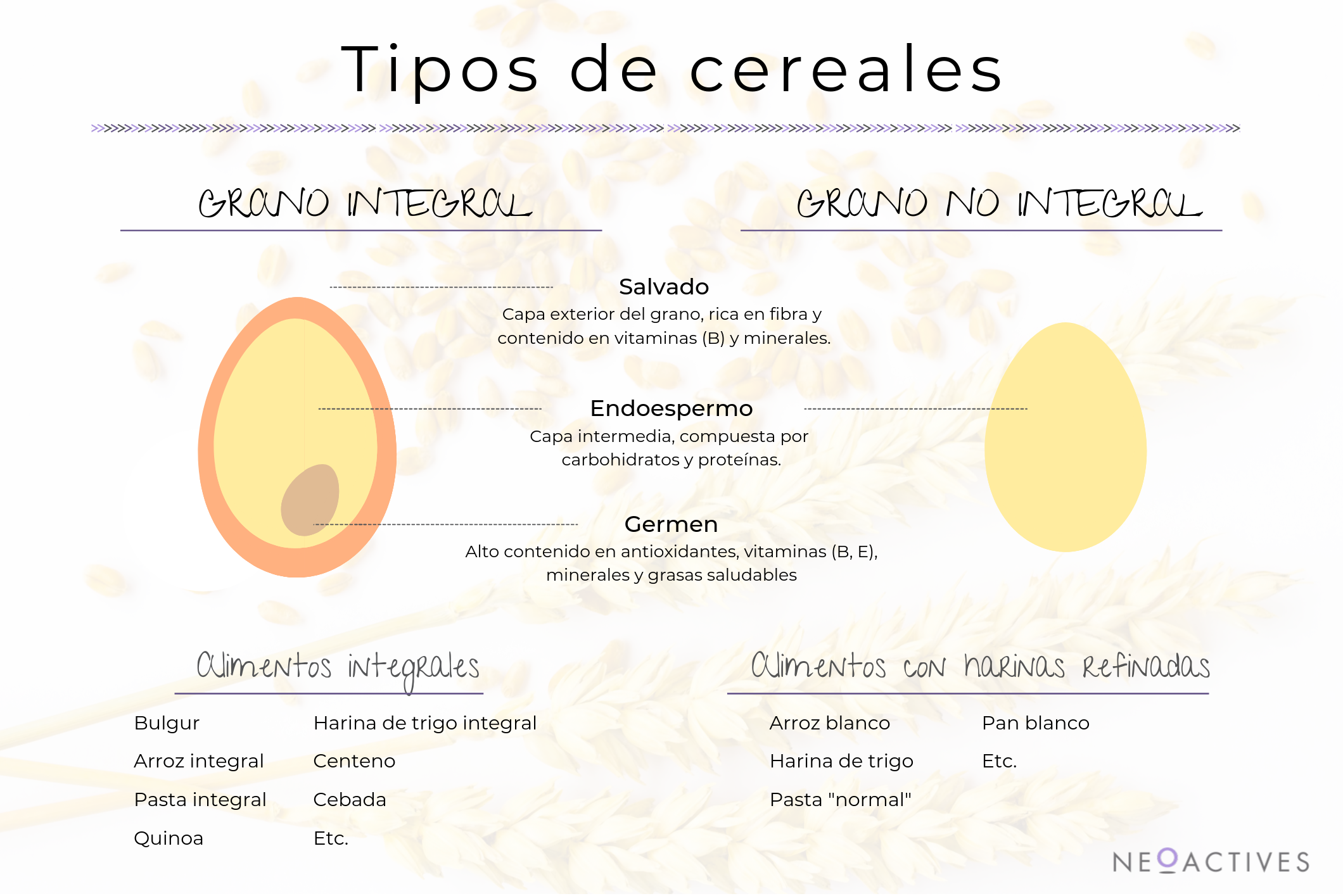 Tipos de cereales