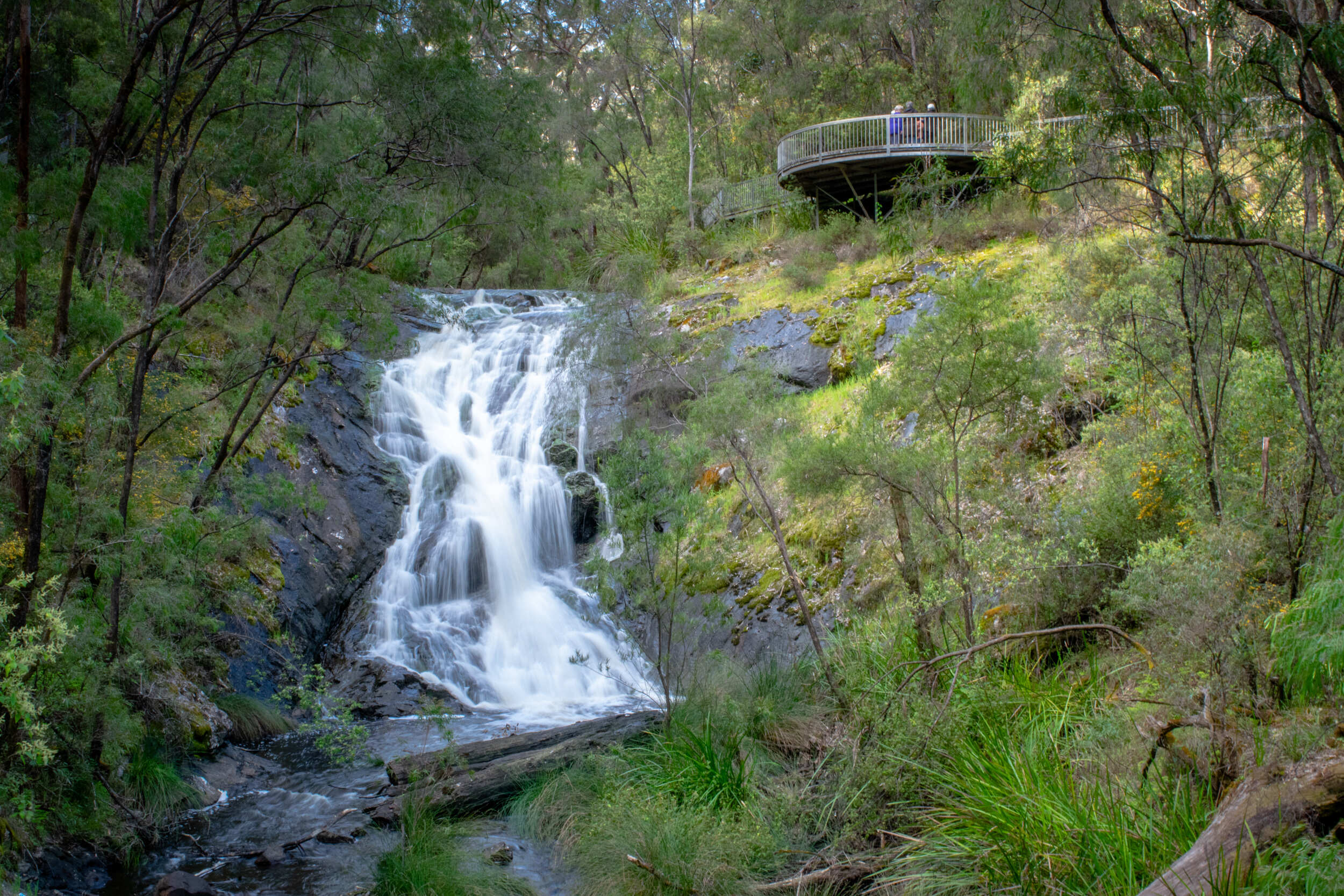 Beedelup Falls Walk Trail