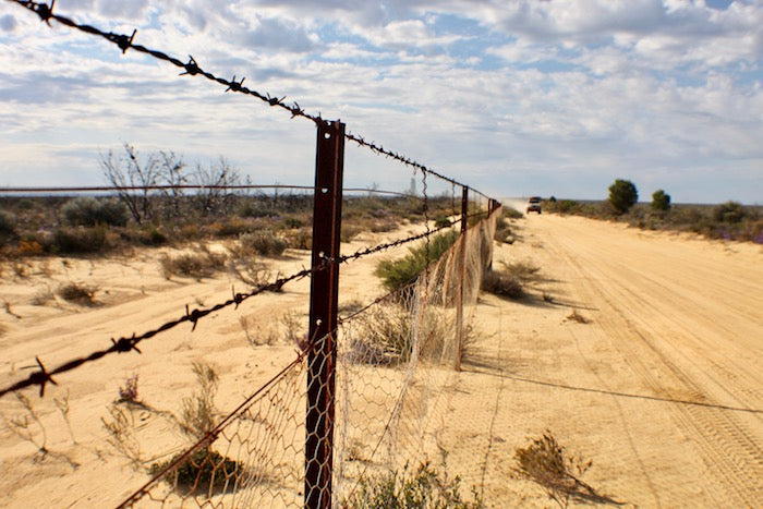 Rabbit-Proof Fence