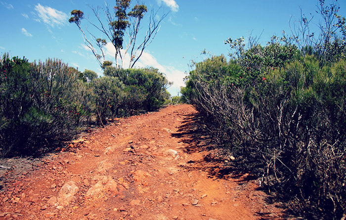 Dirt road track