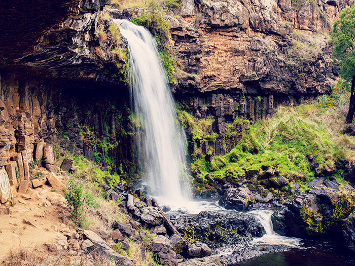 Paddys river waterfall