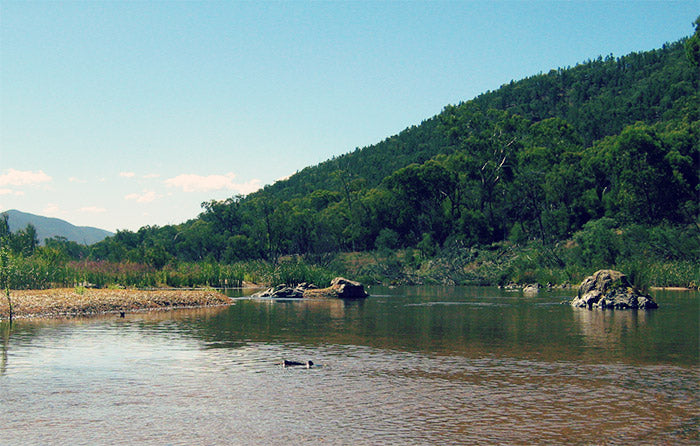 Willis campsite river