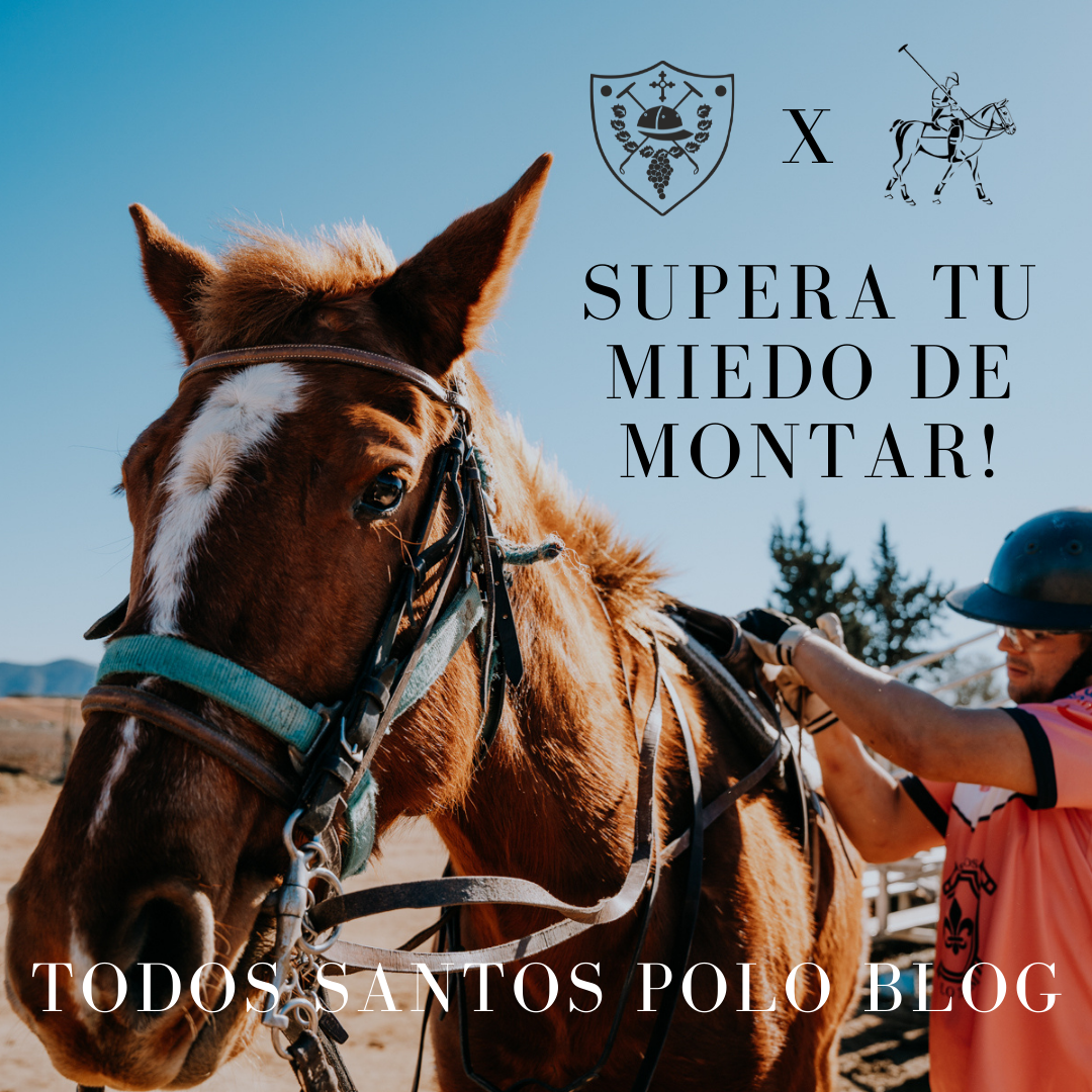 Quiero aprender a montar, pero tengo miedo - Un pequeño análisis de un –  Todos Santos Polo Brand