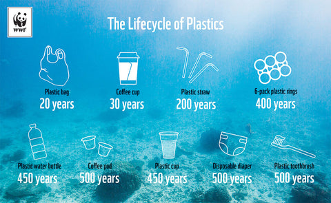 The lifecycle of plastics