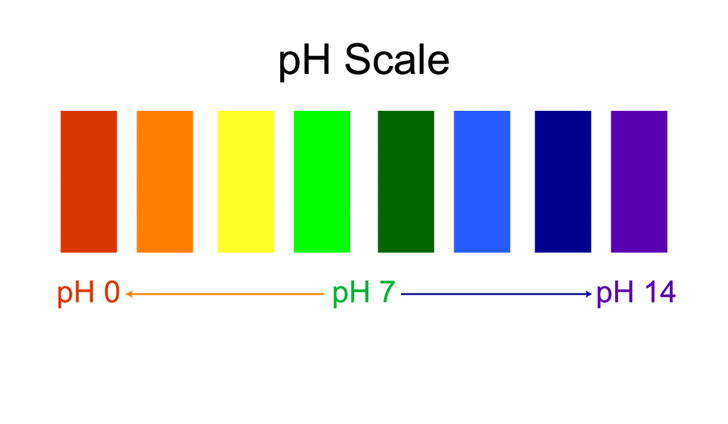 3 Key Steps To Properly Adjusting Ph In Your Water And Nutrient Mix Black Dog Led