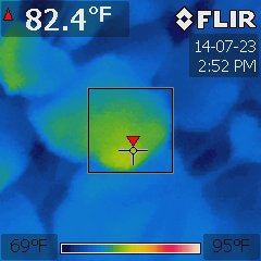 Nicotiana benthamiana under a 324W T5 fluorescent at 75 °F