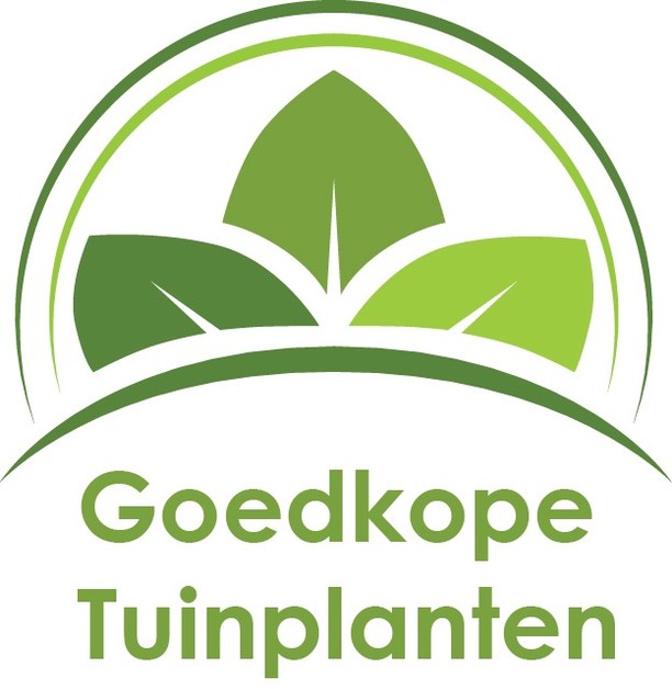 Specialiteit Logisch kop Tuinplanten kopen? Planten bestel je op goedkopetuinplanten.nl! – Goedkope  tuinplanten
