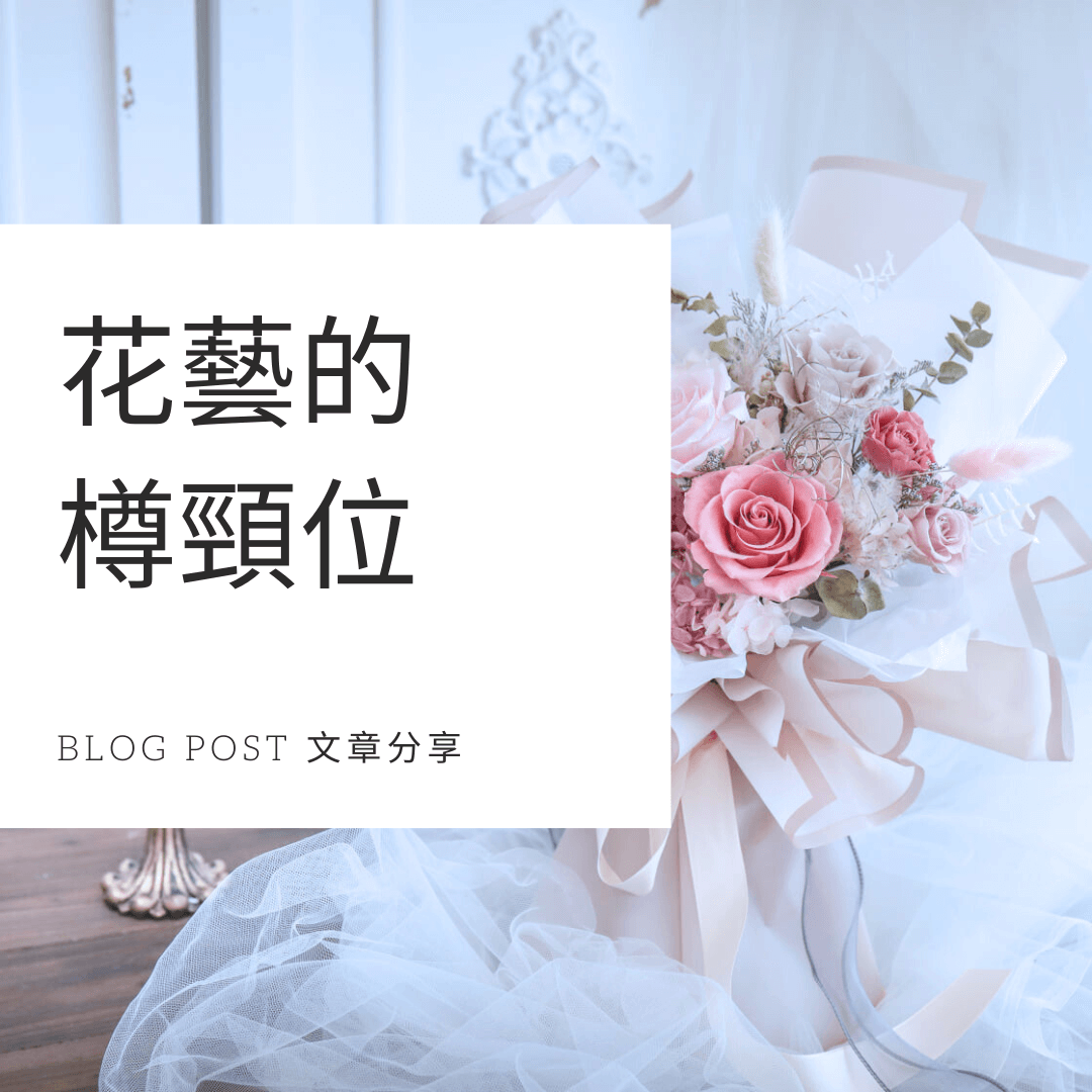 tb-blog post-花藝的樽頸位.png__PID:a01177e9-c54a-4068-a772-bf030257d93e