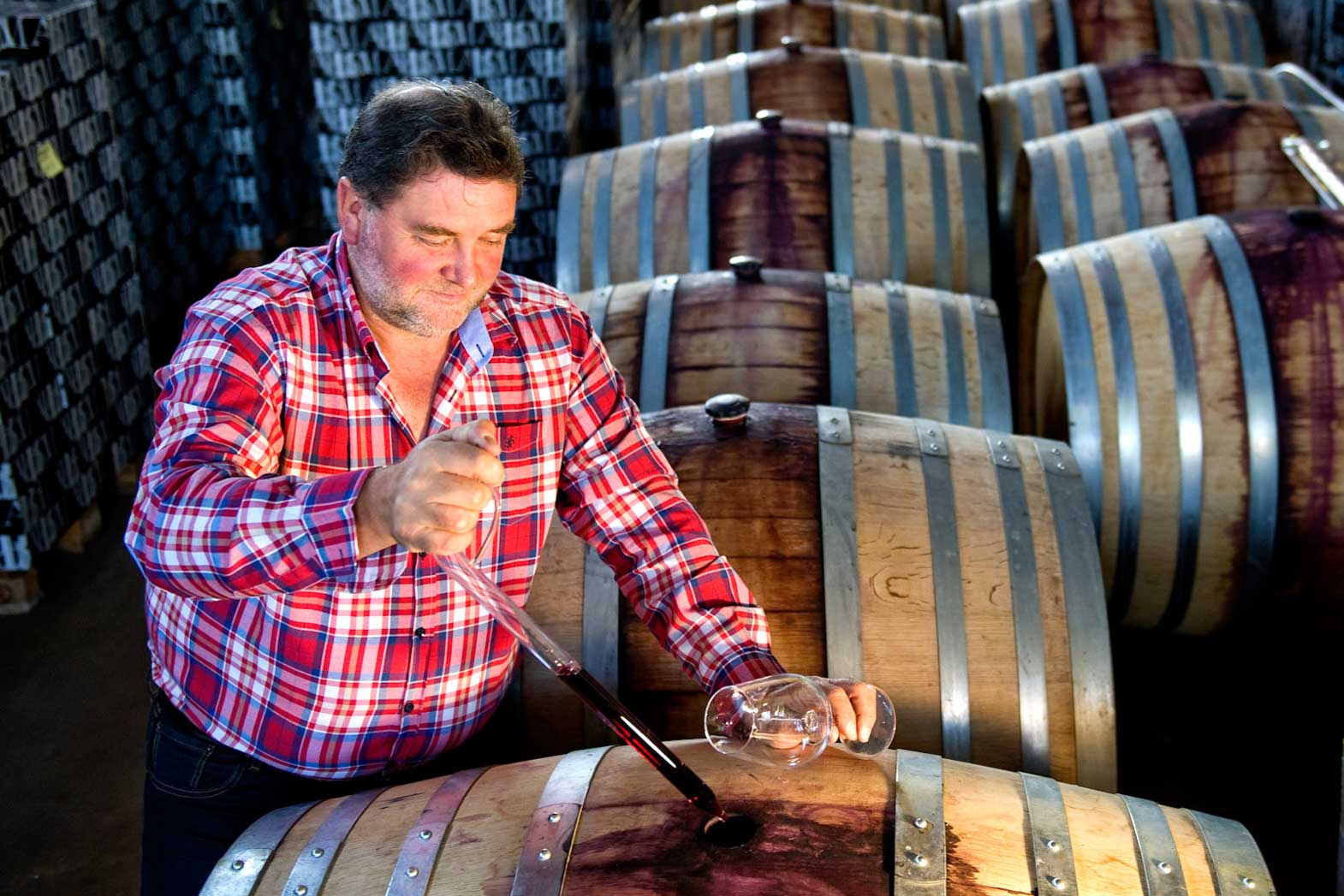 Juan Carlos Sancha in his winery in Rioja