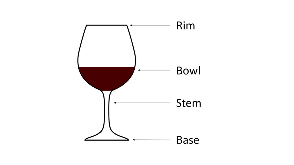 The different parts of a wine glass explained