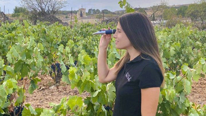 A Spanish winemaker in her vineyard using a refractometer